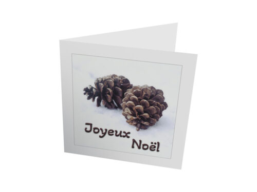 Pive Noël