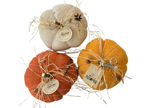 Courge décorative
