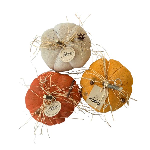 Courge décorative